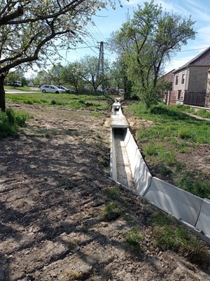 Projekt 20
